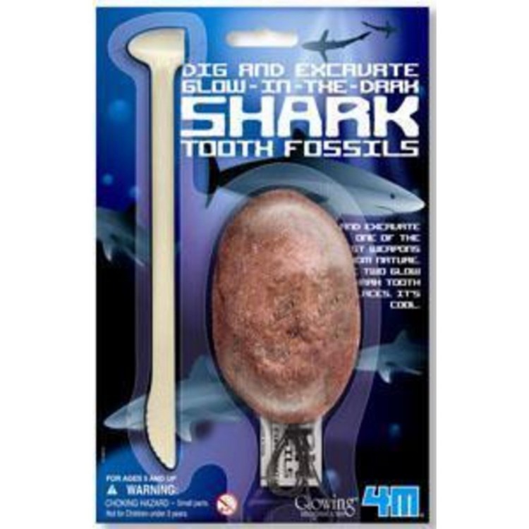 Kaz Ve Keşfet Fosil Megaladon Köpekbalığı Dişleri