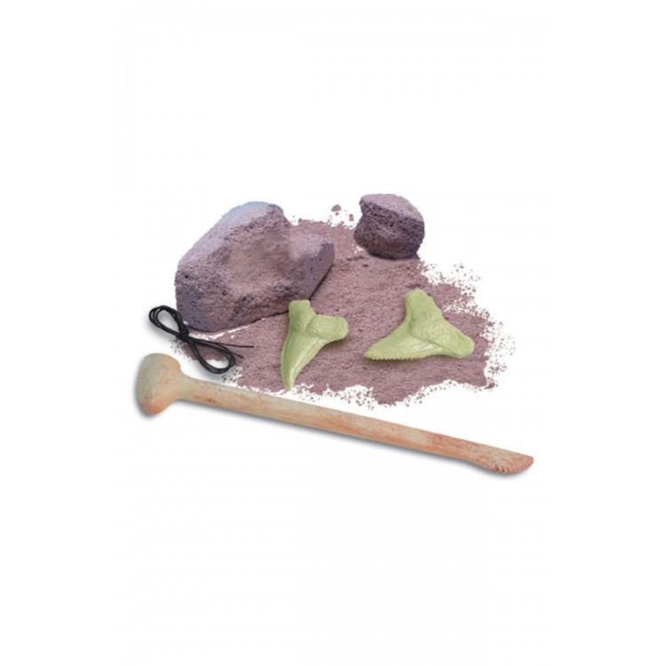 Kaz Ve Keşfet Fosil Megaladon Köpekbalığı Dişleri