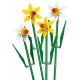 LEGO 40747 Botanicals Nergis 